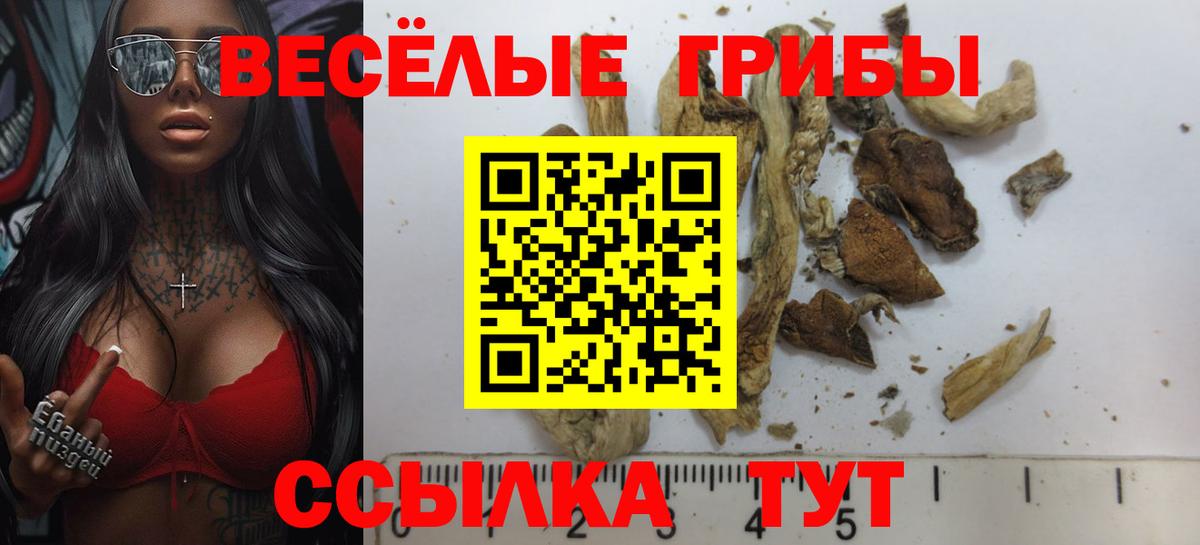 Псилоцибиновые грибы GOLDEN TEACHER  Вход с VPN  Магнитогорск 